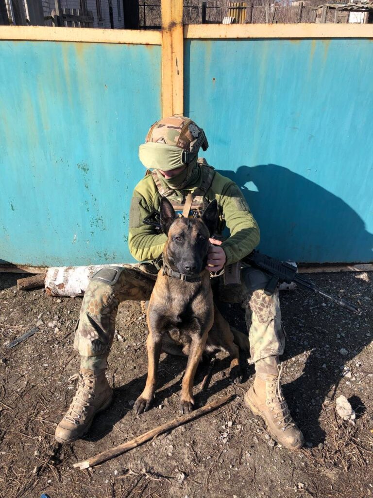 Роман Замашной